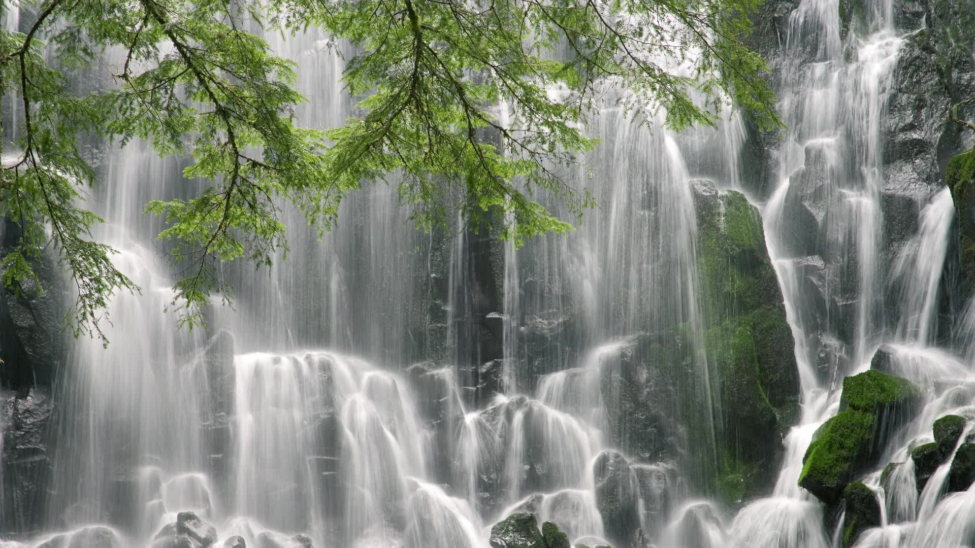 世界登山青年导师生态修复项目优秀案例入选名单,国际登山联合会